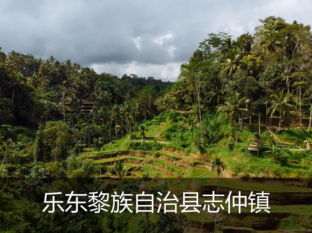 乐东黎族自治县志仲镇