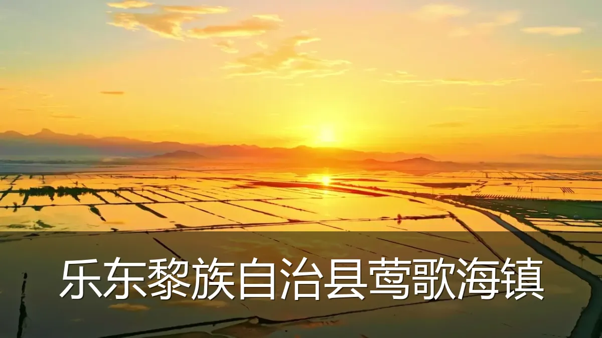 乐东黎族自治县莺歌海镇